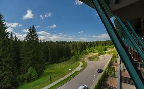 Family Apartment In Silver Mountain Resort